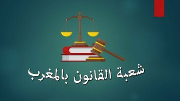 مميزات شعبة القانون في الجامعة