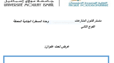 وحدة المسطرة الجنائية المعمقة بالدعوى العمومية تحميل PDF