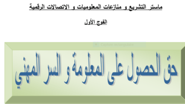 الحق في الحصول على المعلومة بصيغة PDF